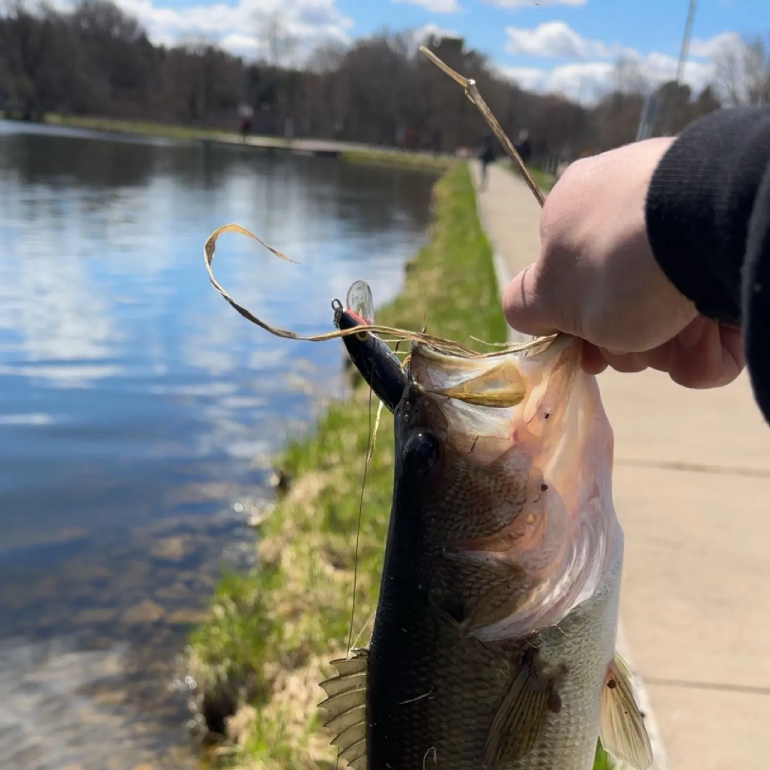 catch