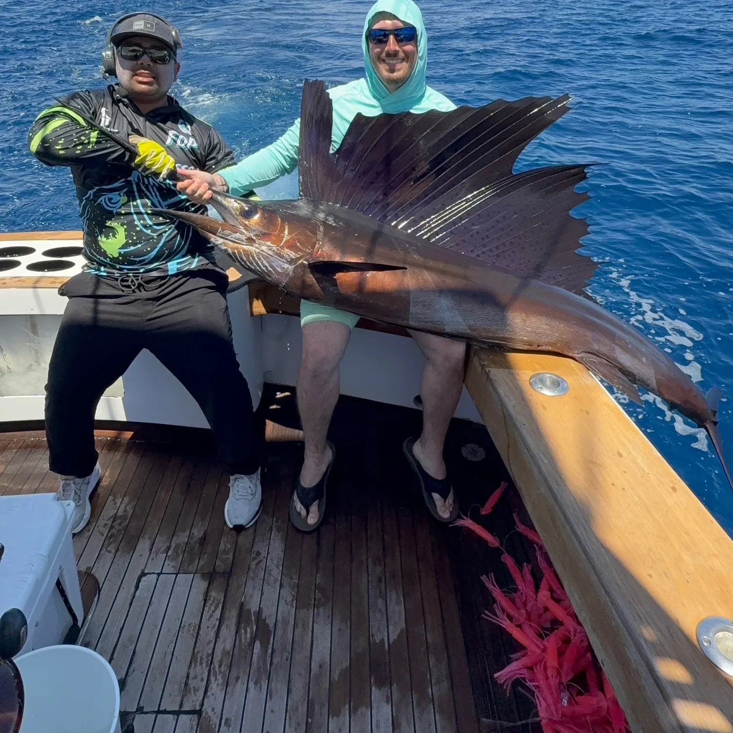 The most recent Indo-Pacific sailfish catches on Fishbrain