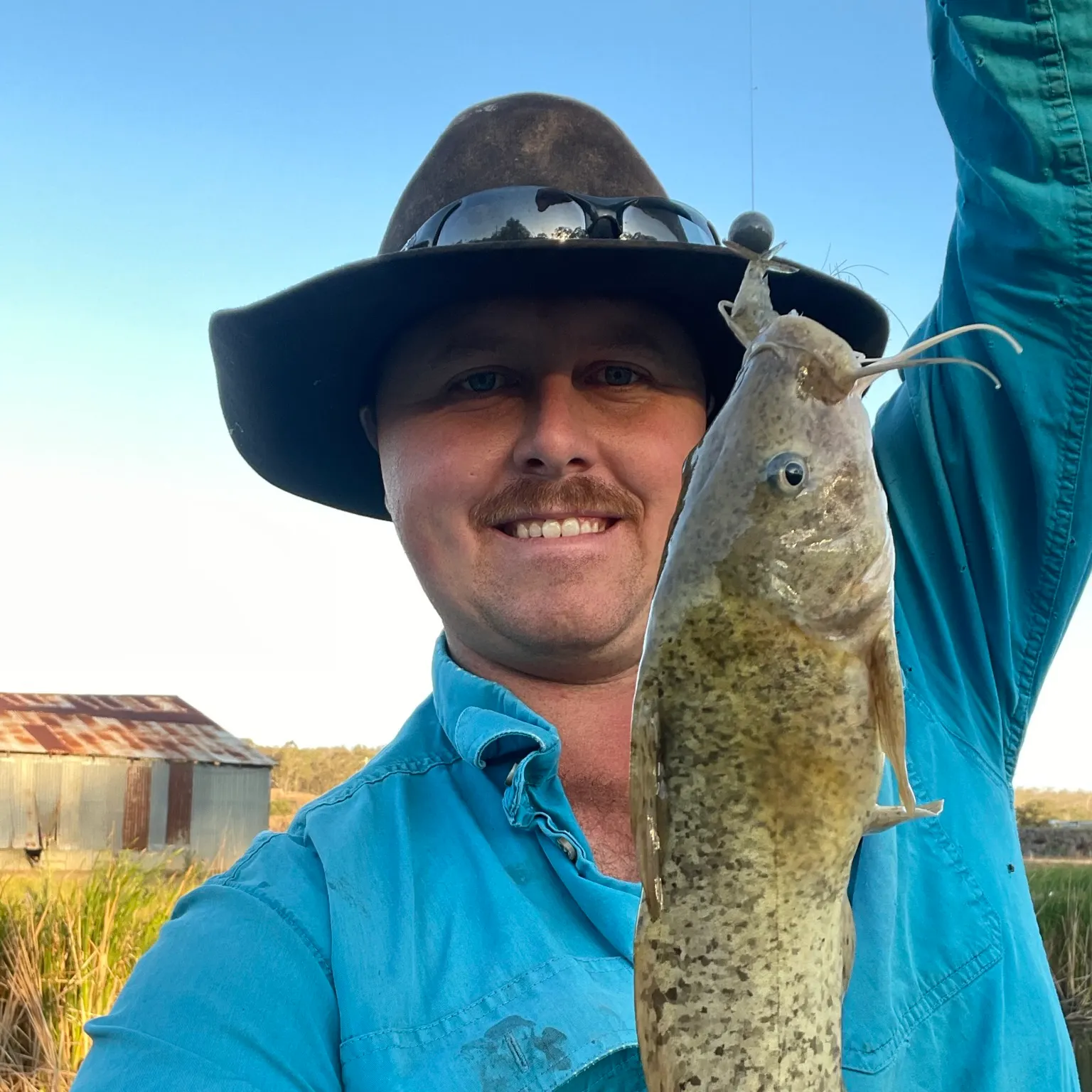 The most recent Dewfish catches on Fishbrain