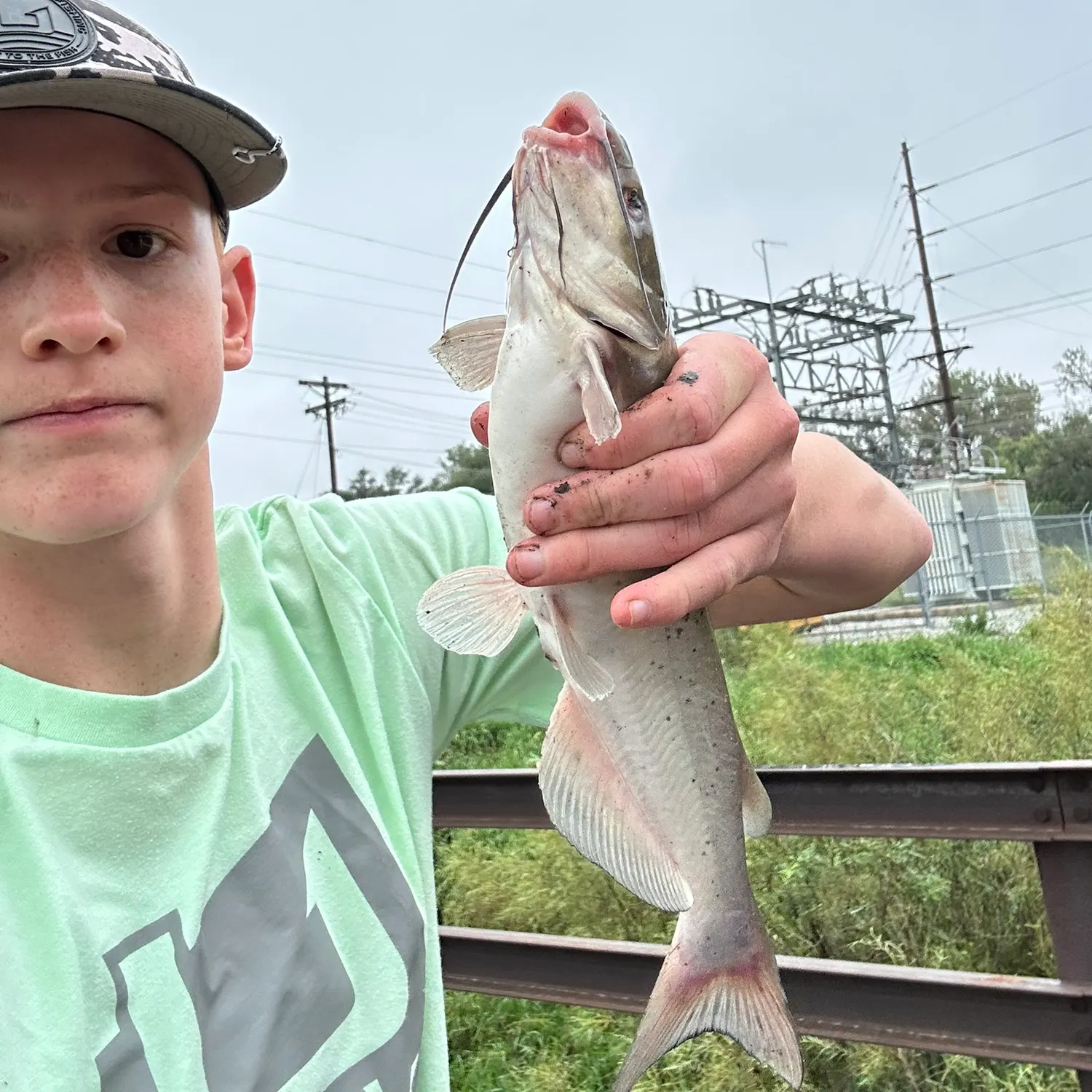 Channel catfish caught on Fishbrain