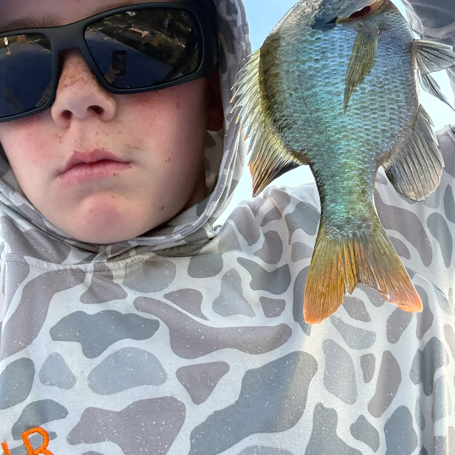 Bluegill caught on Fishbrain