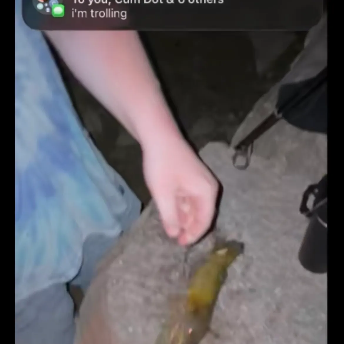 catch