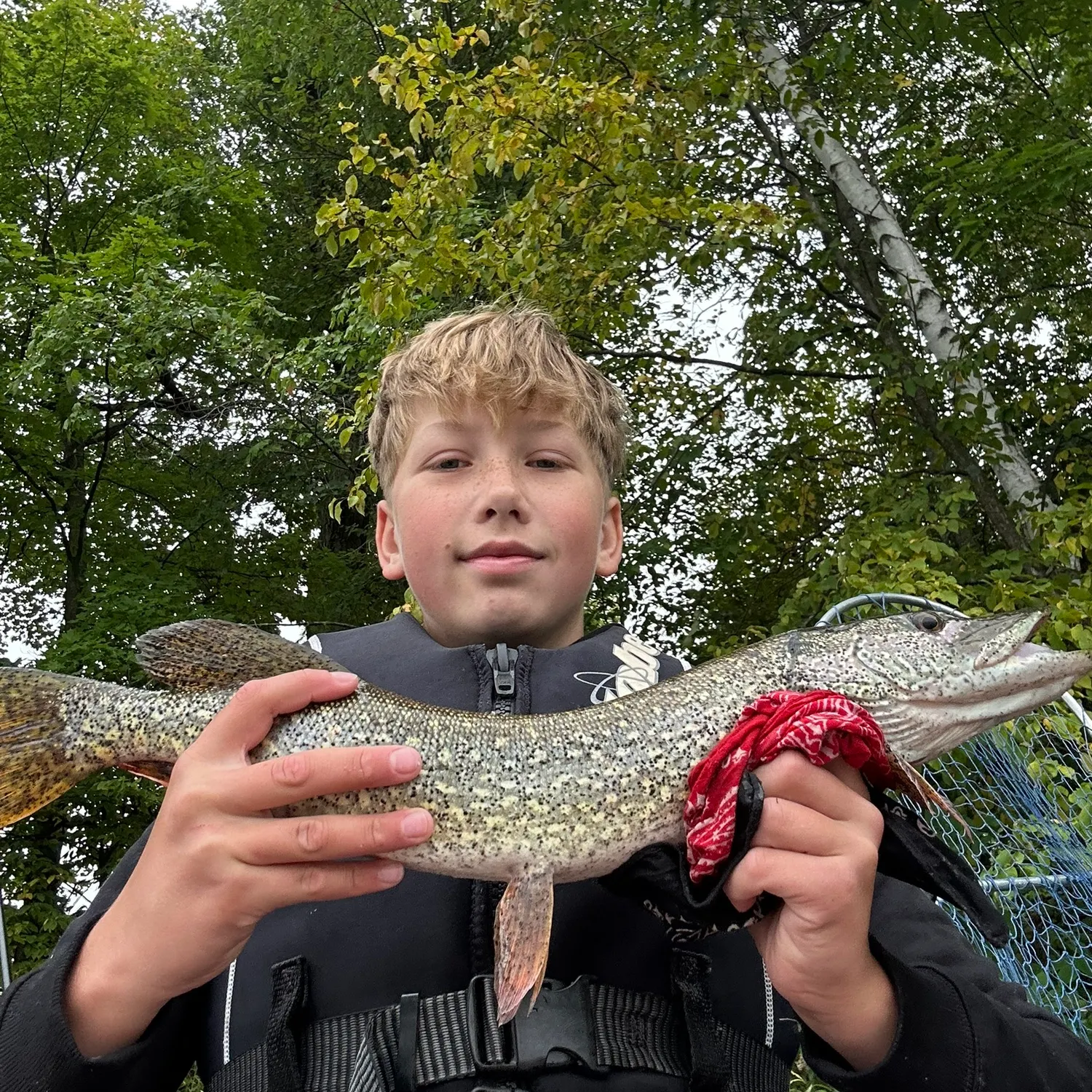 Northern pike caught on Fishbrain