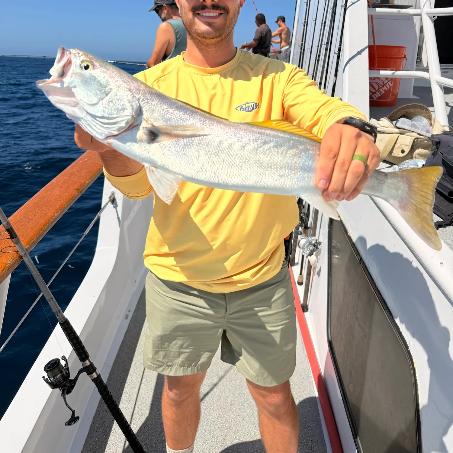 The most recent White seabass catches on Fishbrain