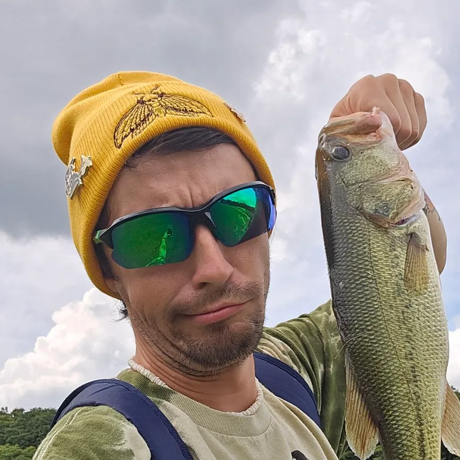 Largemouth bass caught on Fishbrain