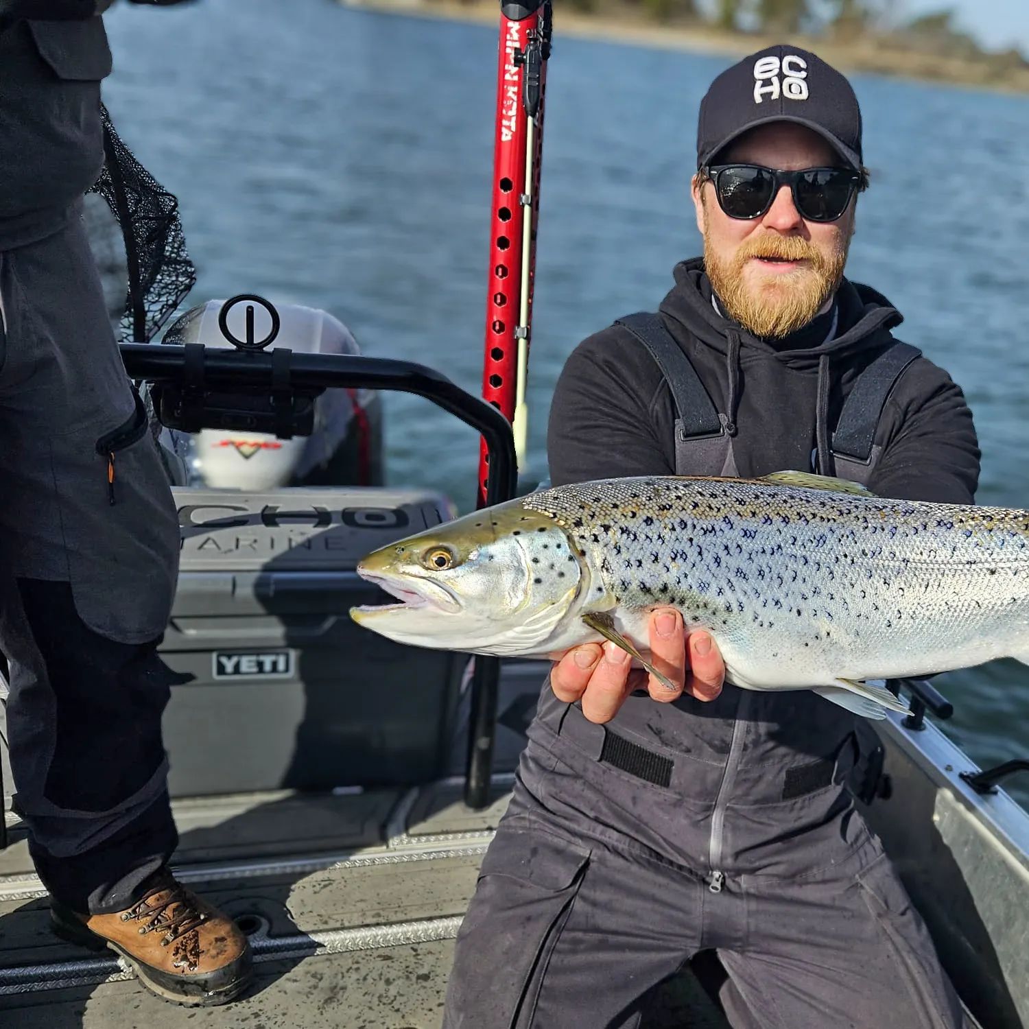 Sea trout caught on Fishbrain