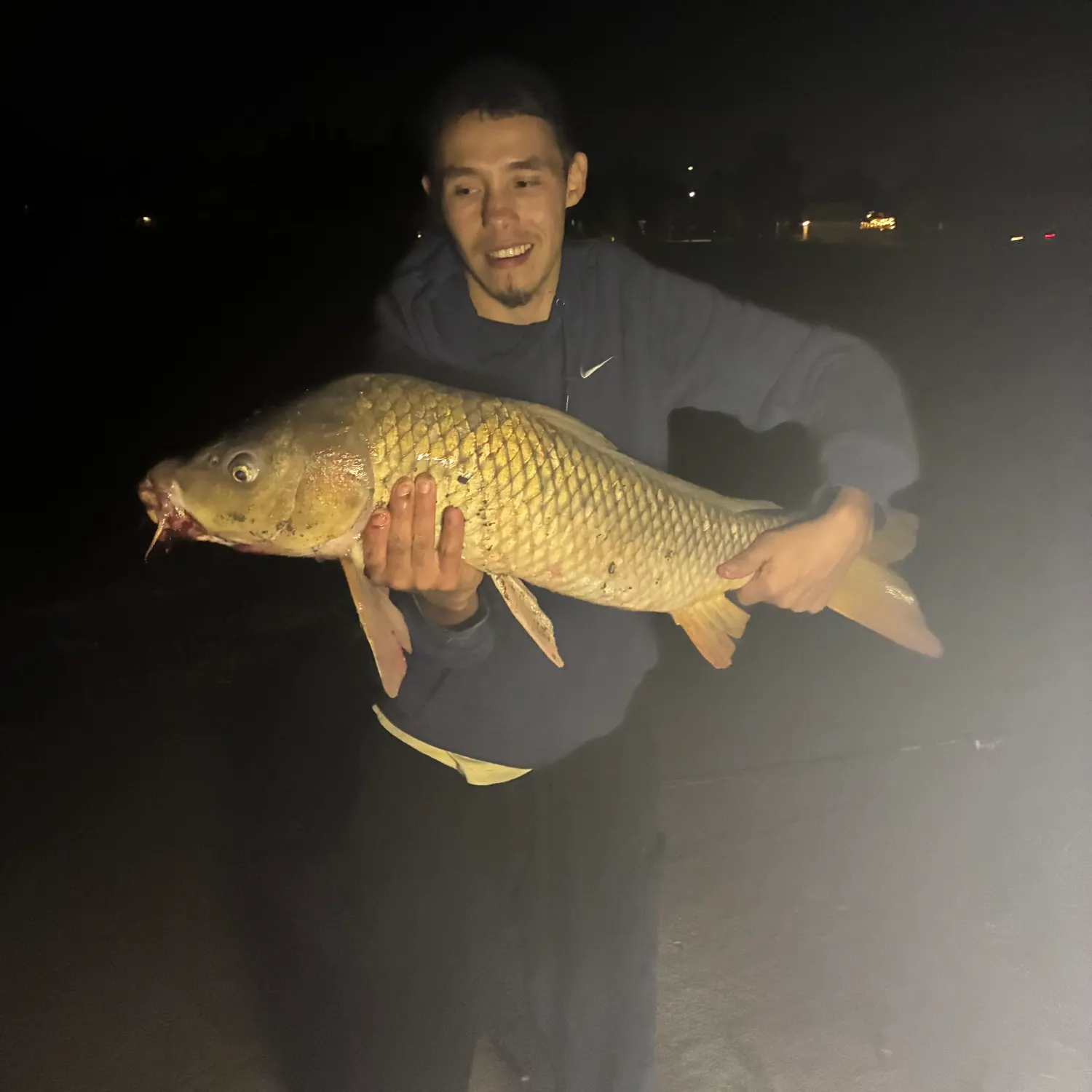 Common carp caught on Fishbrain