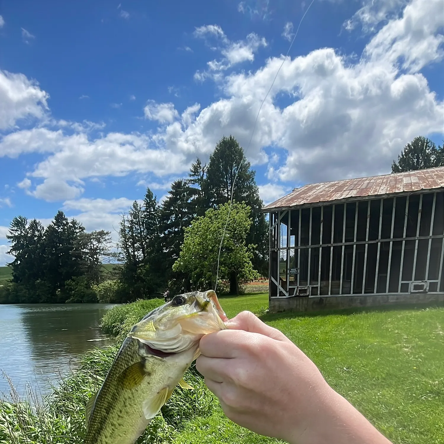 catch