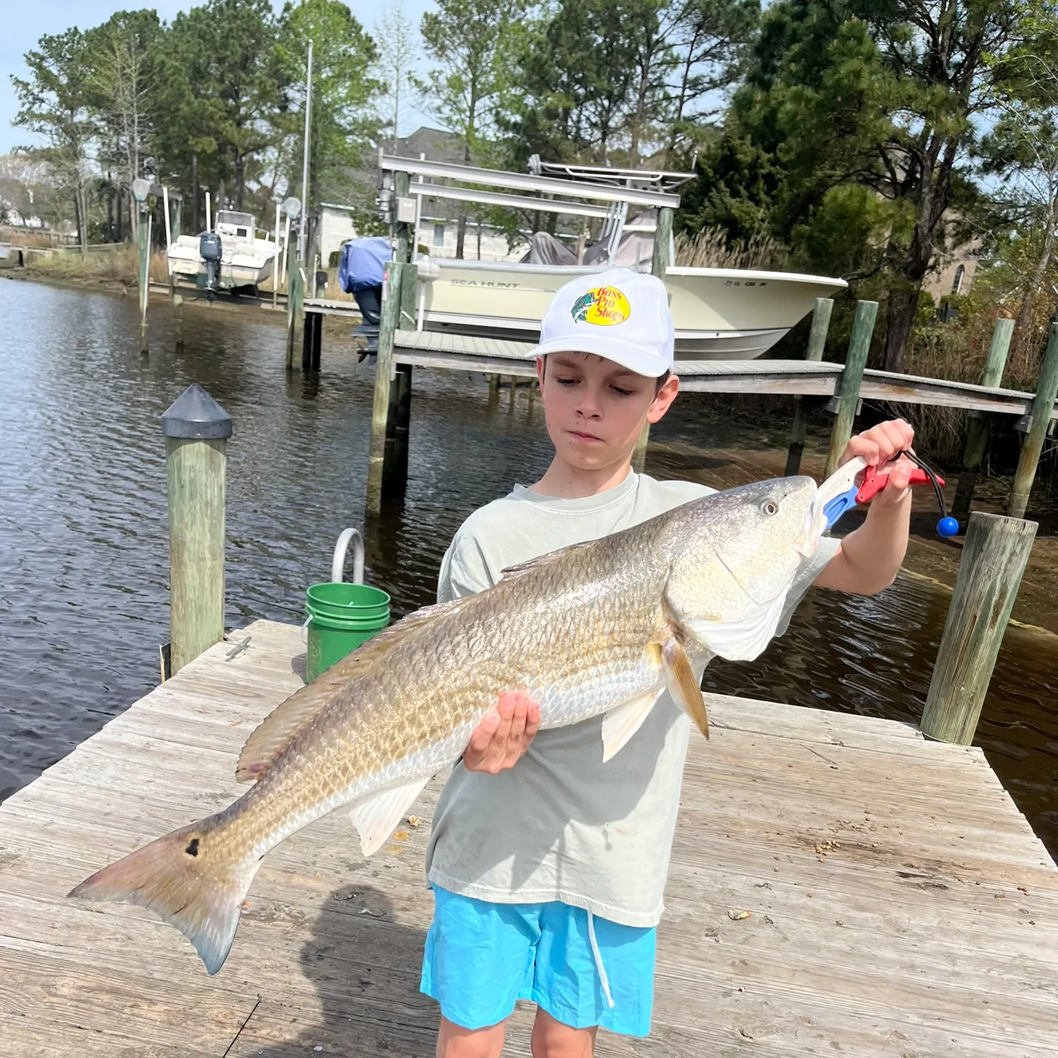 The most recent Red drum catches on Fishbrain