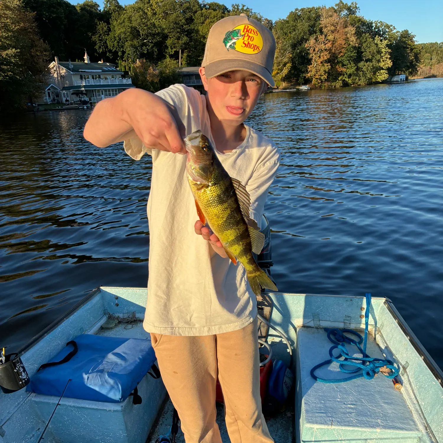 Yellow perch caught on Fishbrain