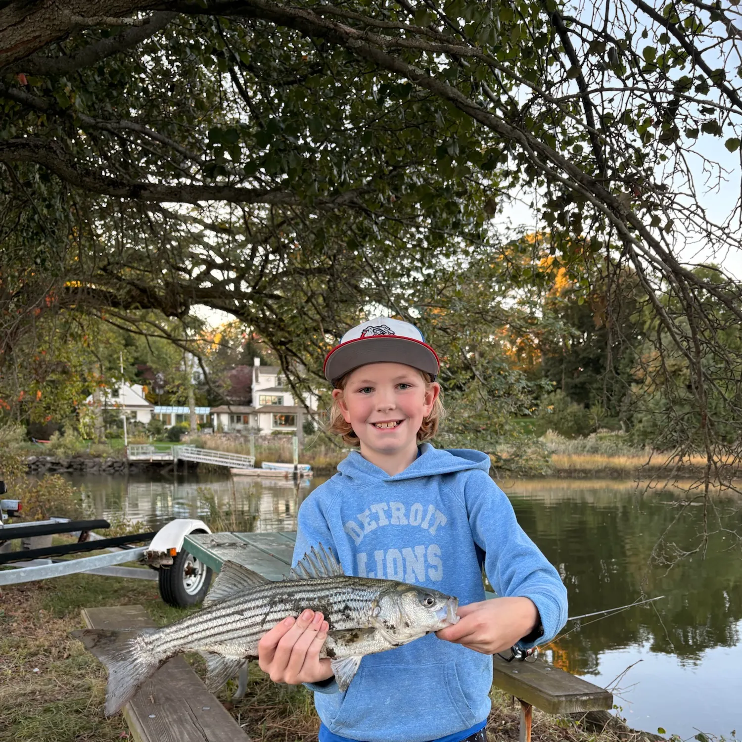Striped bass caught on Fishbrain