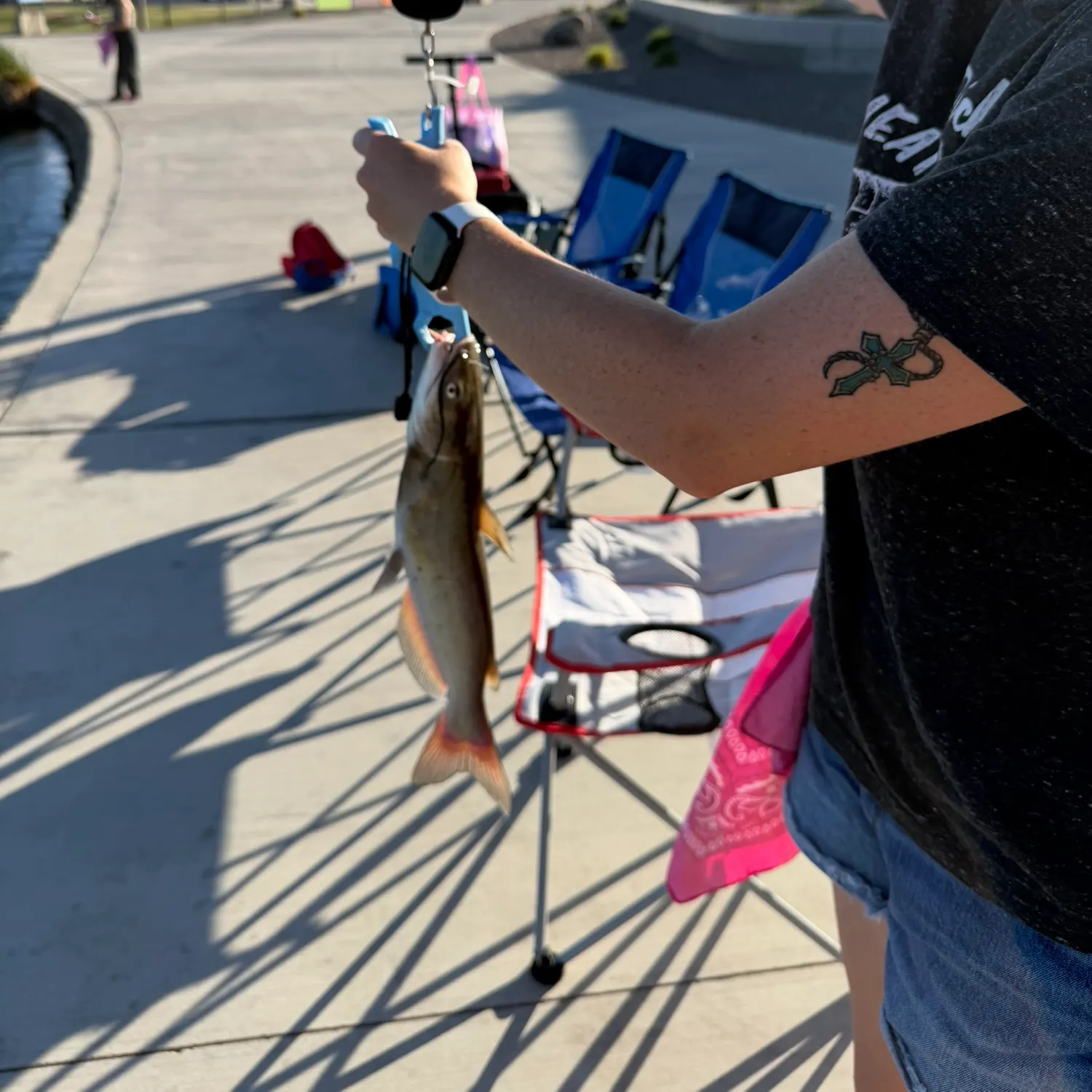 catch
