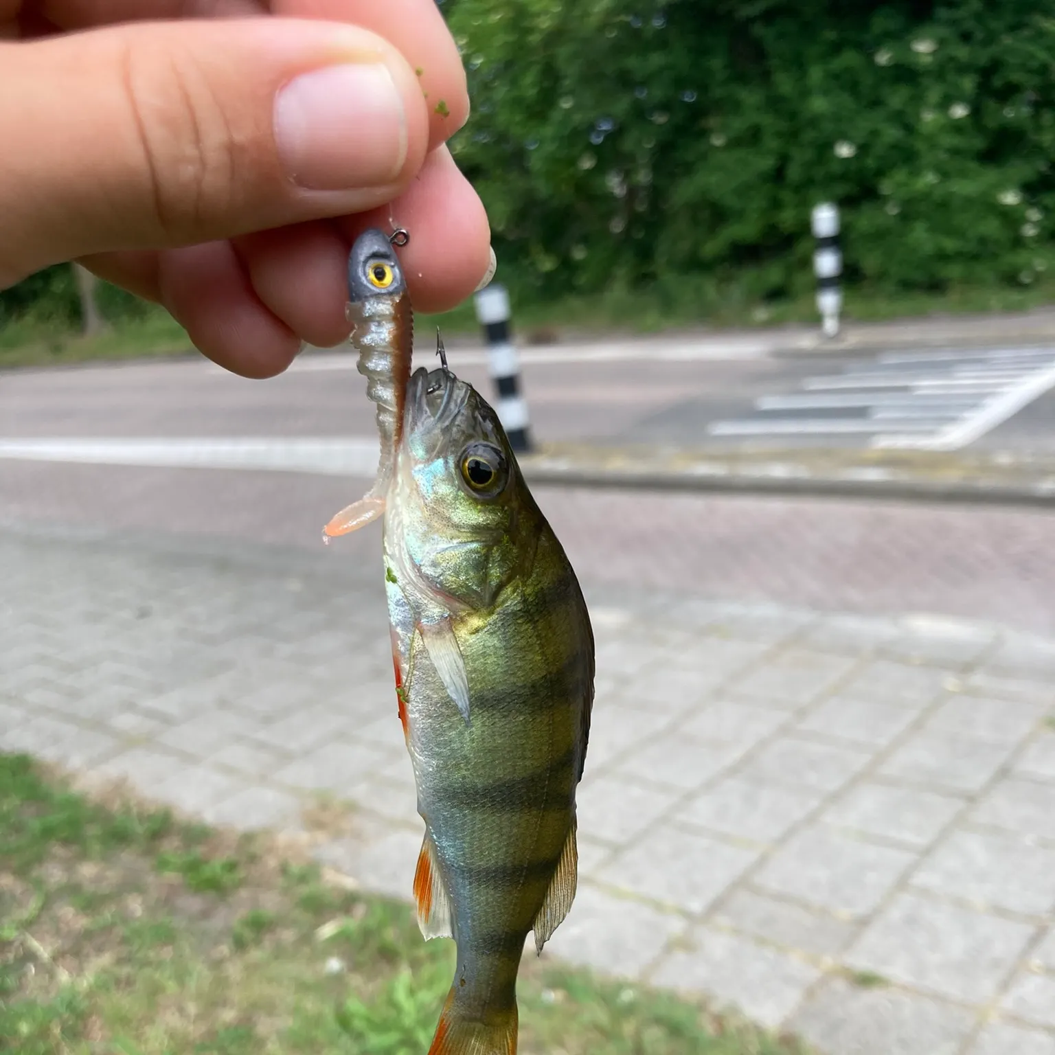 catch