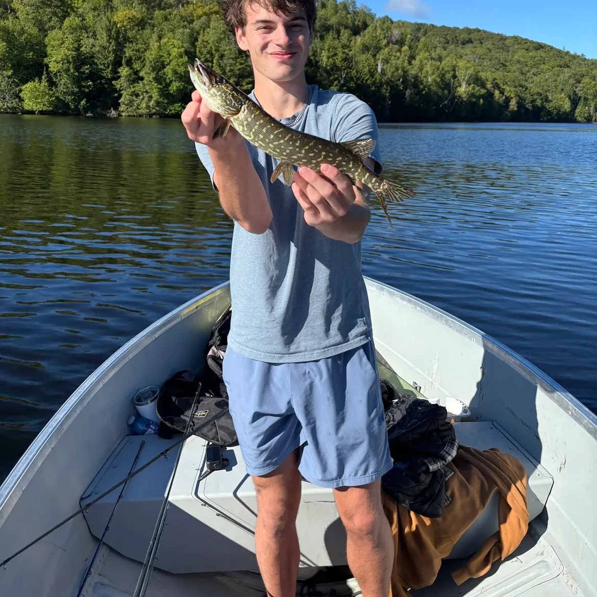 Northern pike caught on Fishbrain