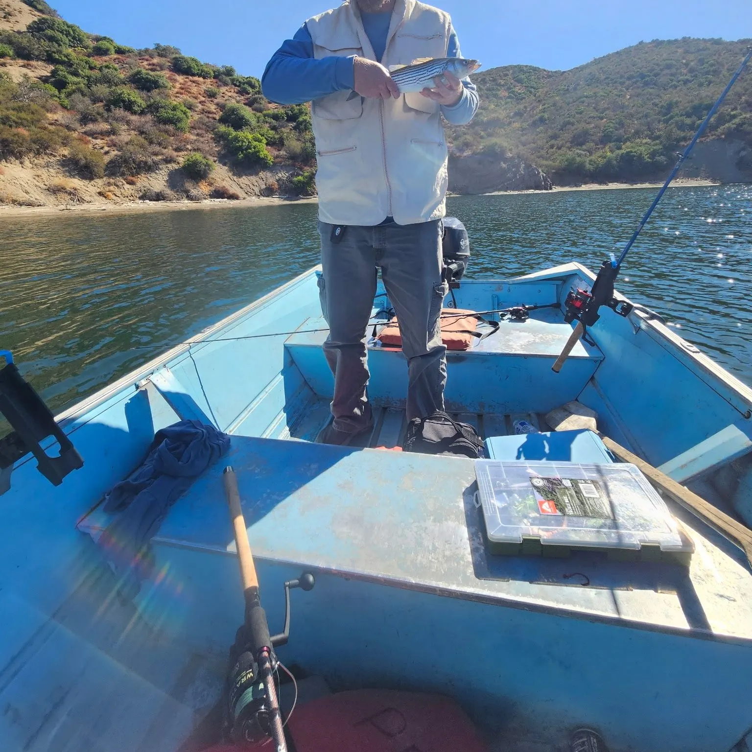 Striped bass caught on Fishbrain