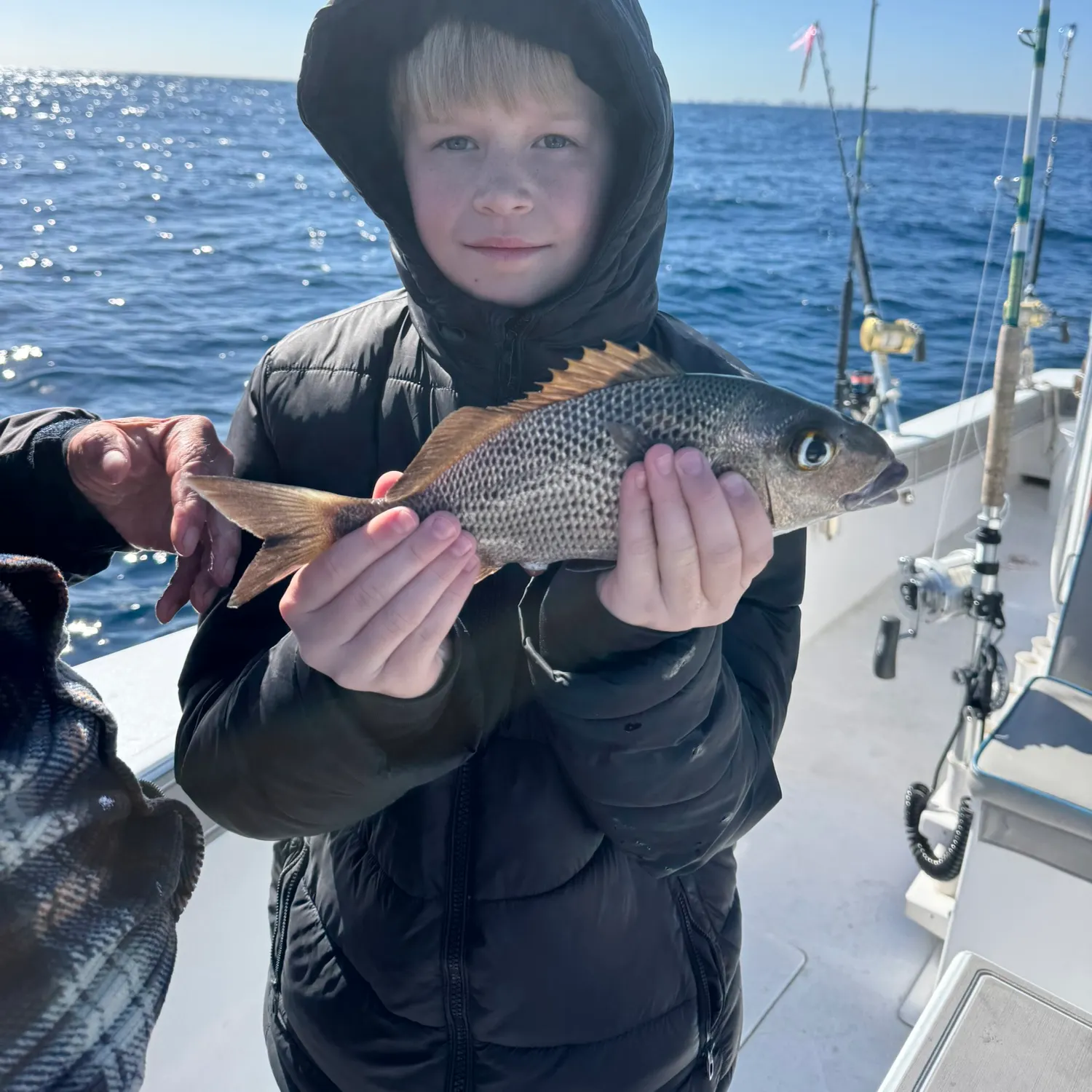 The most recent Sailor's choice grunt catches on Fishbrain