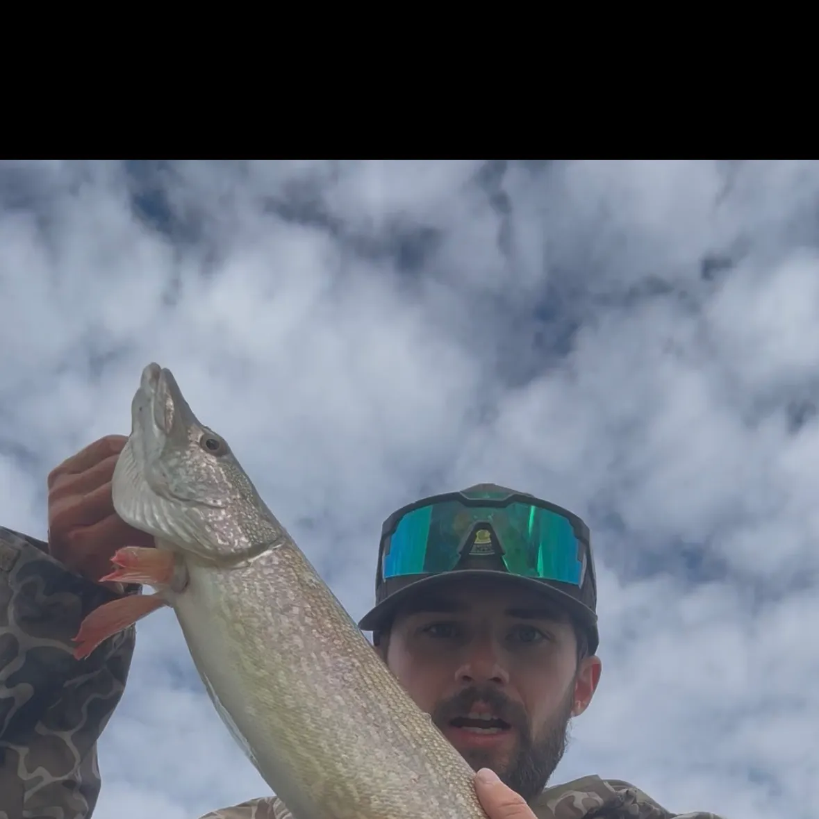 Northern pike caught on Fishbrain