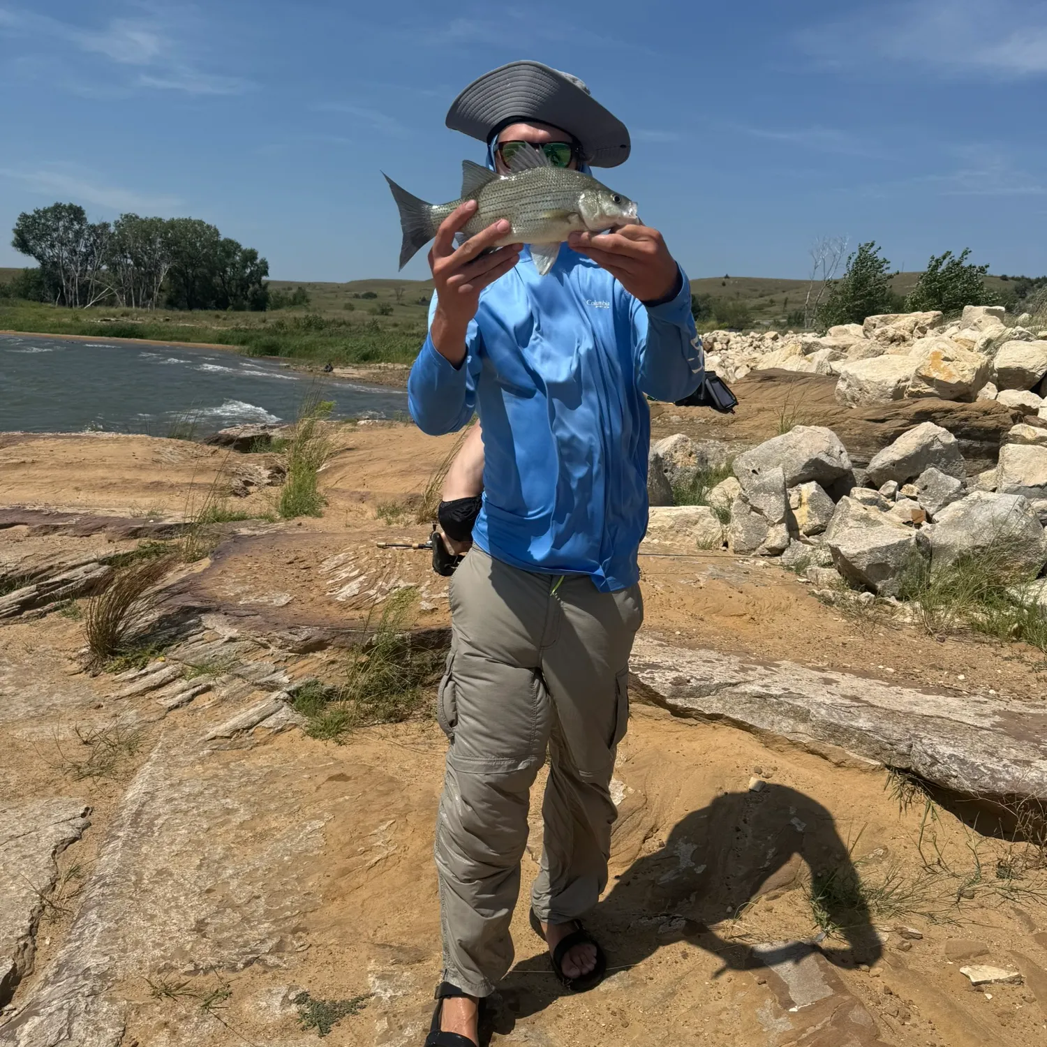 White bass caught on Fishbrain