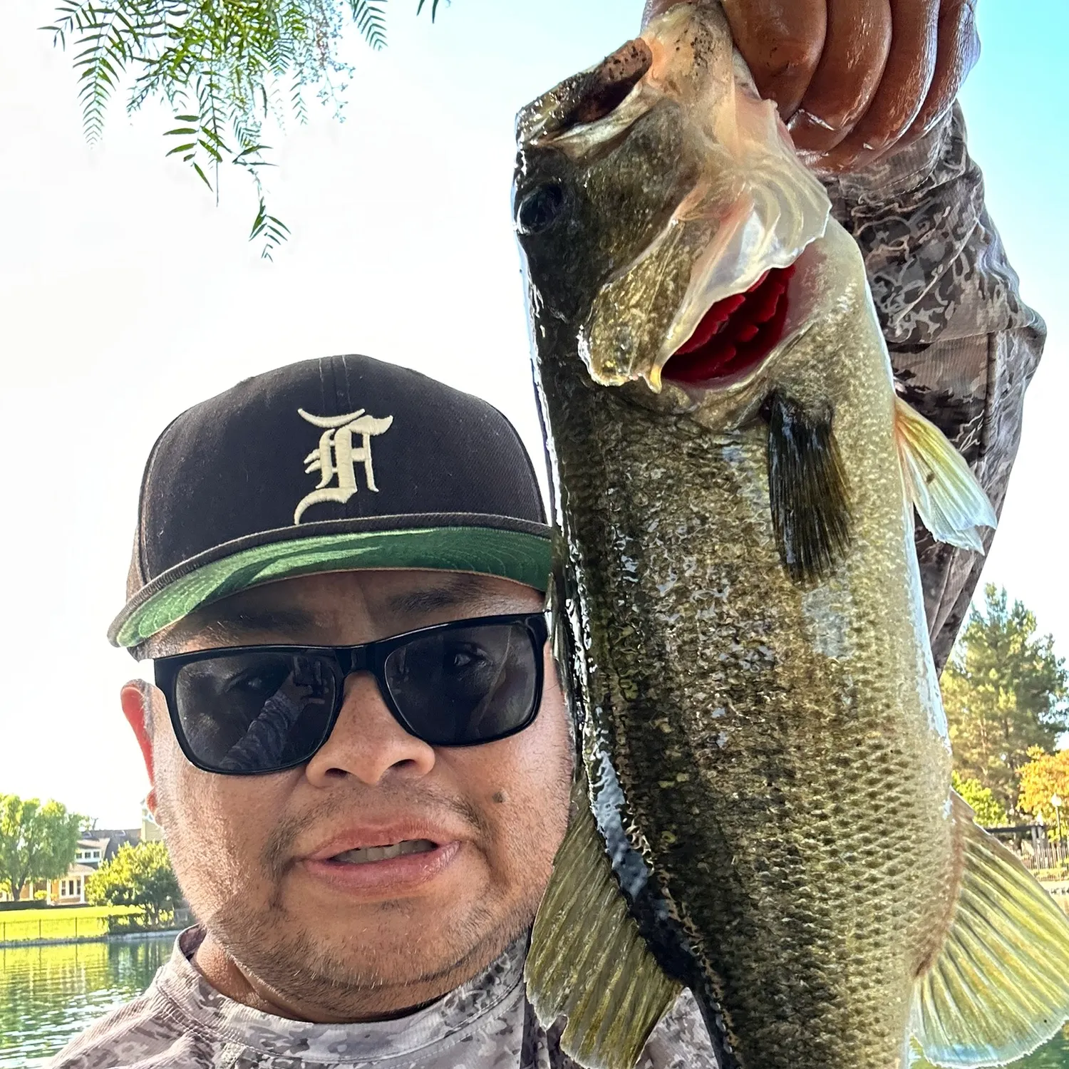 Largemouth bass caught on Fishbrain