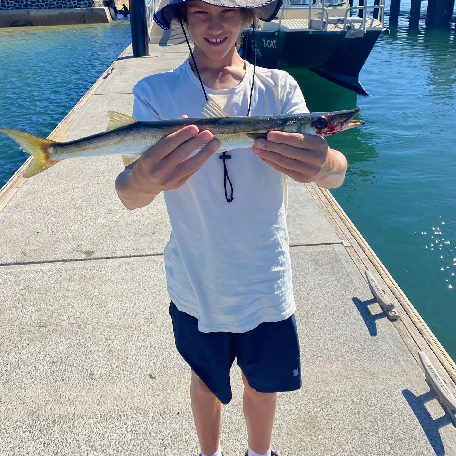 The most recent Australian barracuda catches on Fishbrain