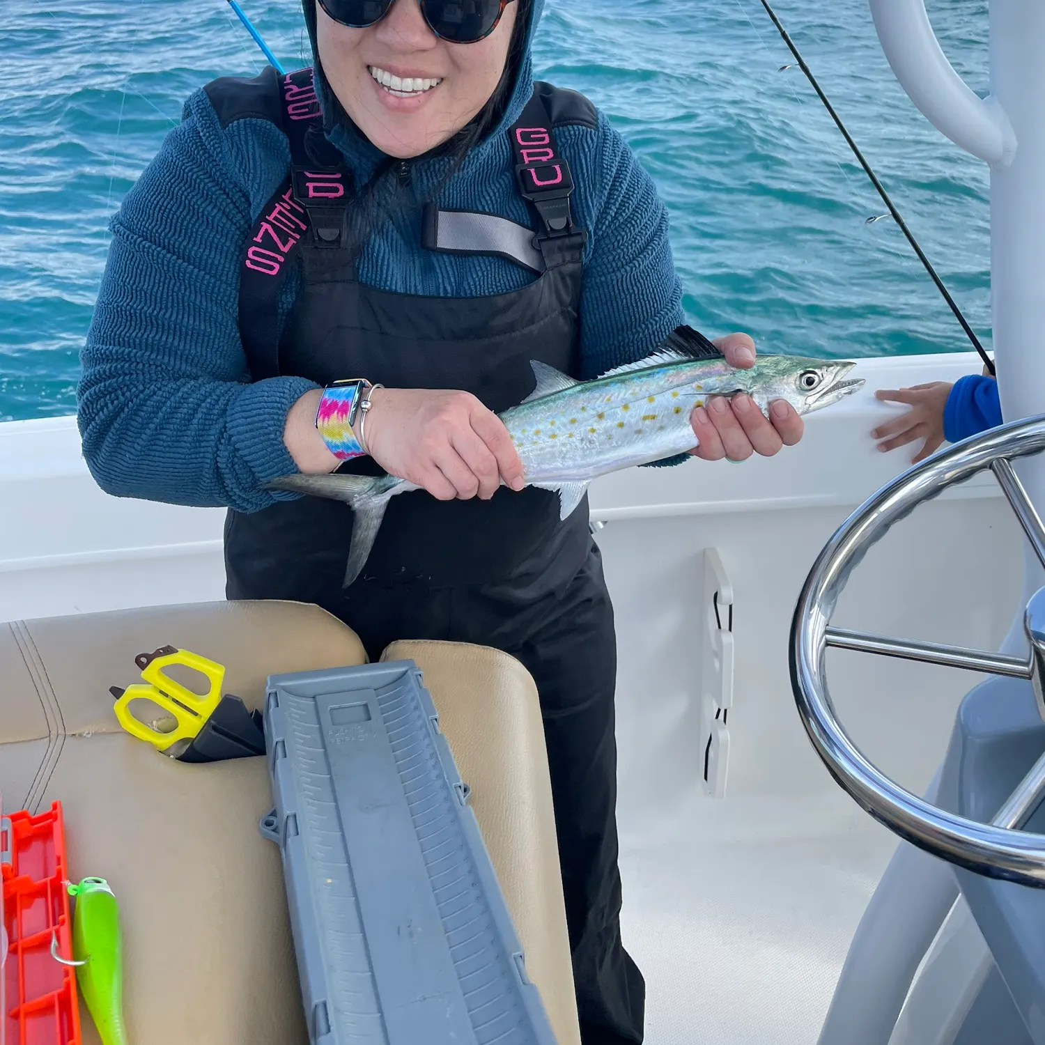 The most recent Spanish mackerel catches on Fishbrain