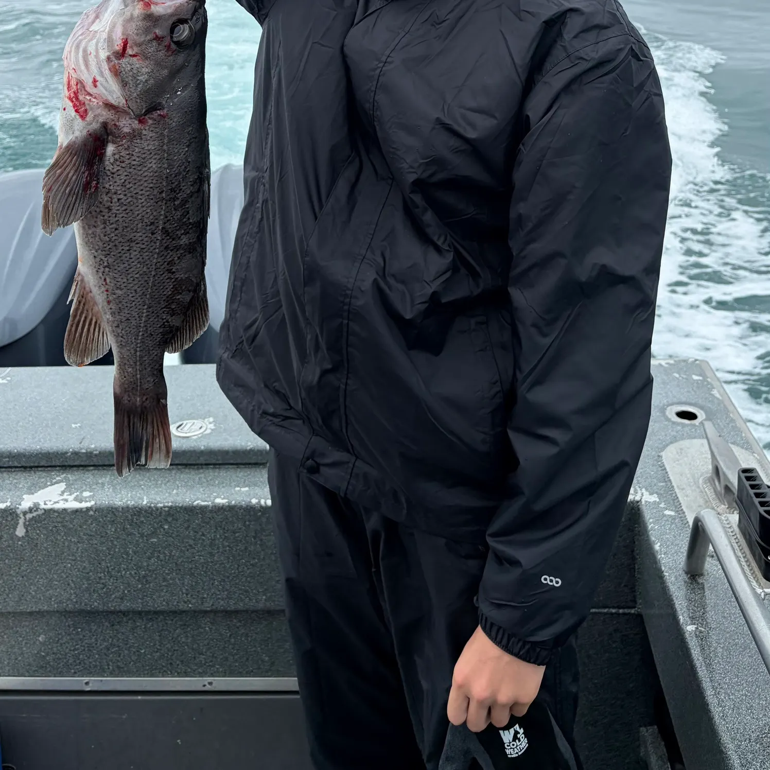 Fishing for Black rockfish near you