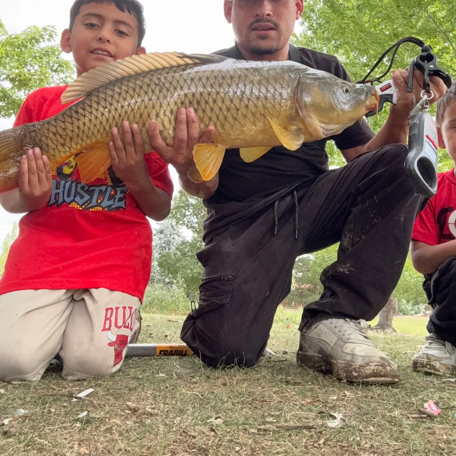 Common carp caught on Fishbrain