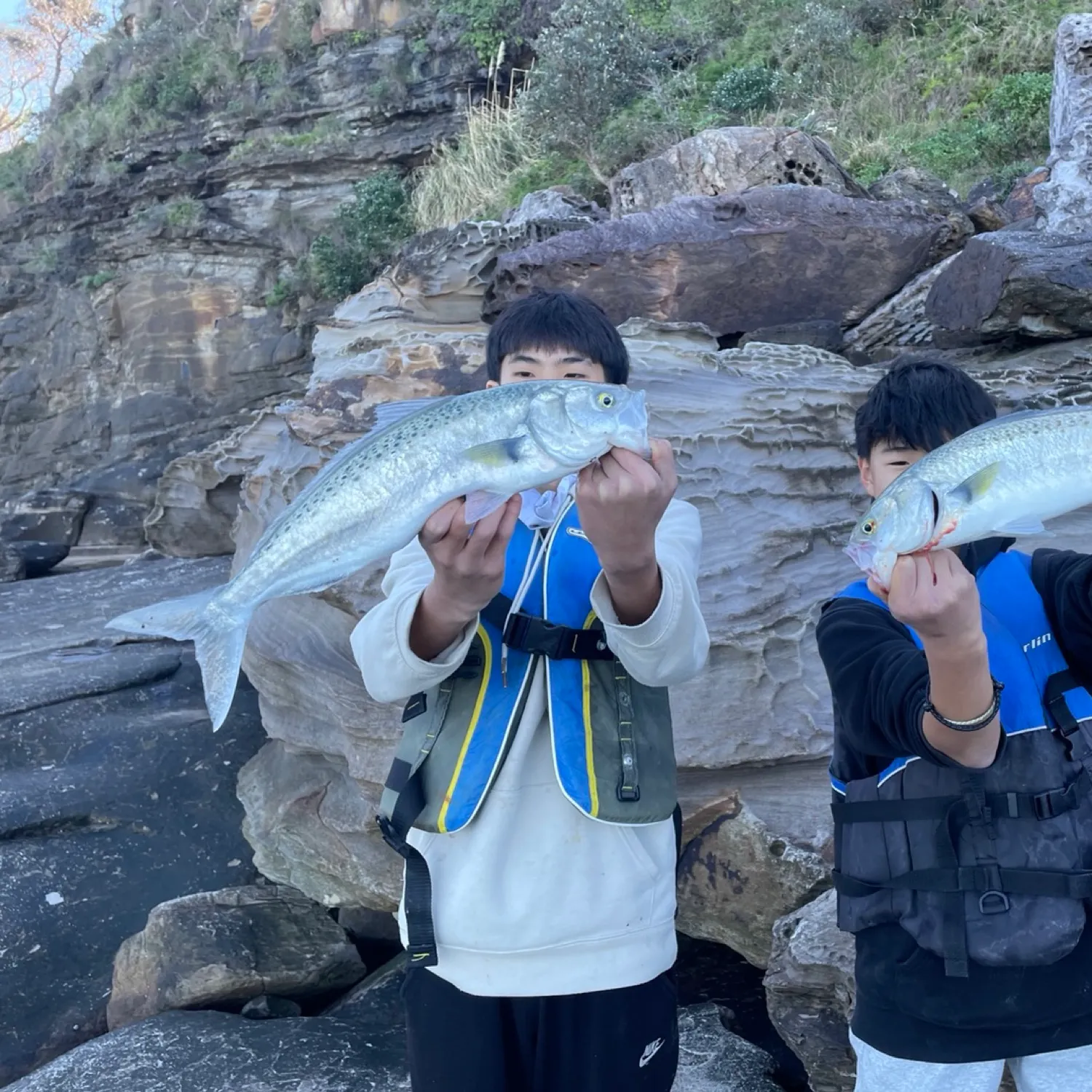 The most recent Australian salmon catches on Fishbrain
