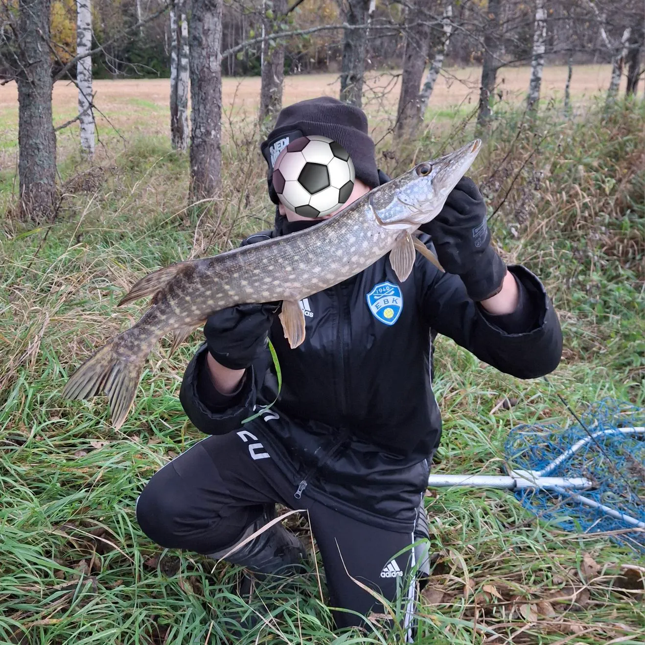 Northern pike caught on Fishbrain