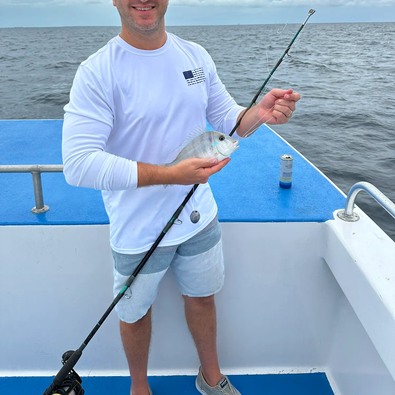 The most recent Saucereye porgy catches on Fishbrain