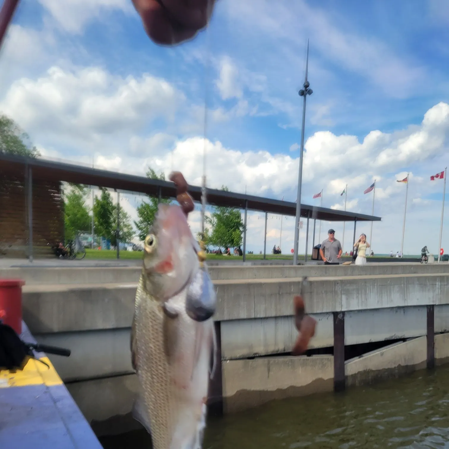catch