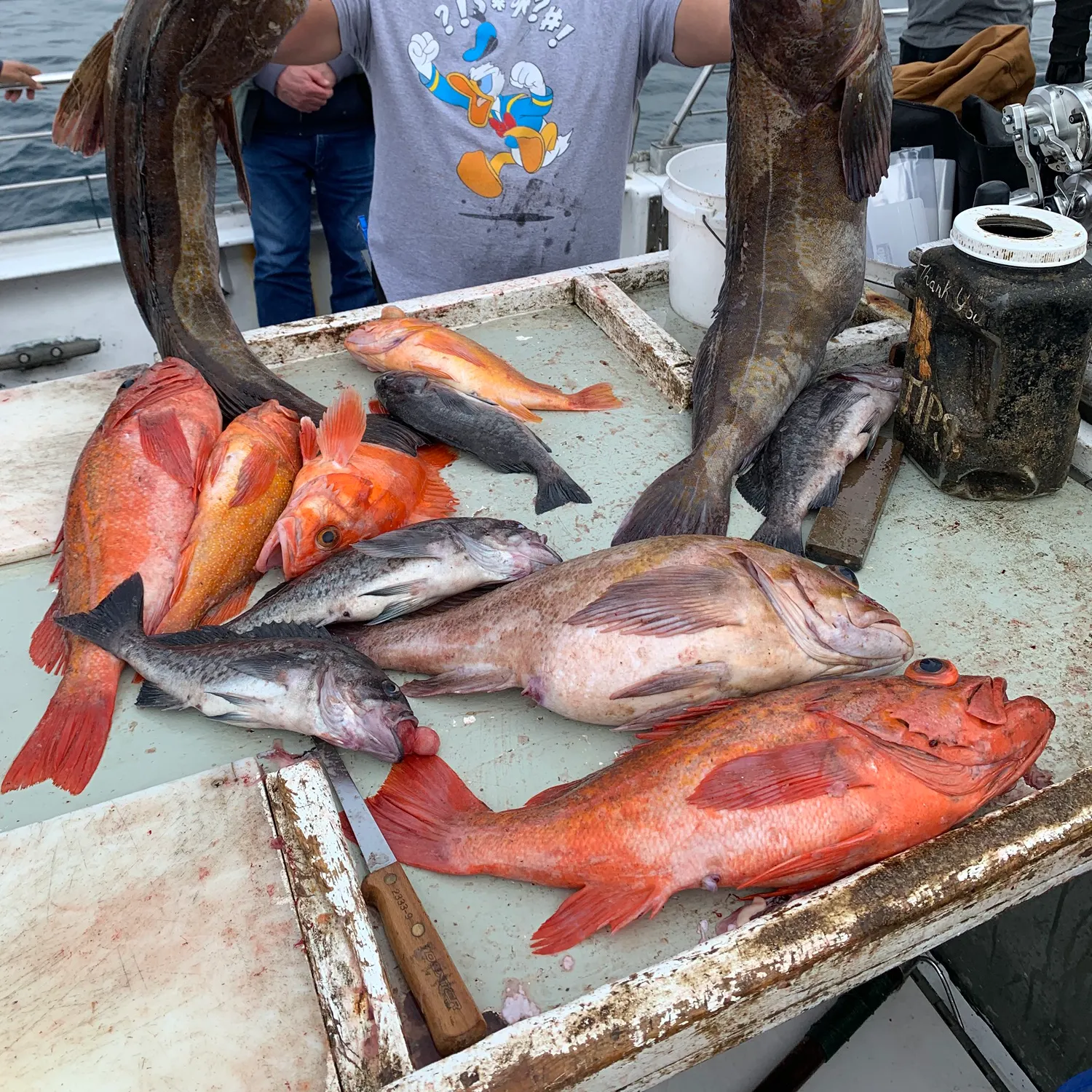 The most recent Vermilion rockfish catches on Fishbrain