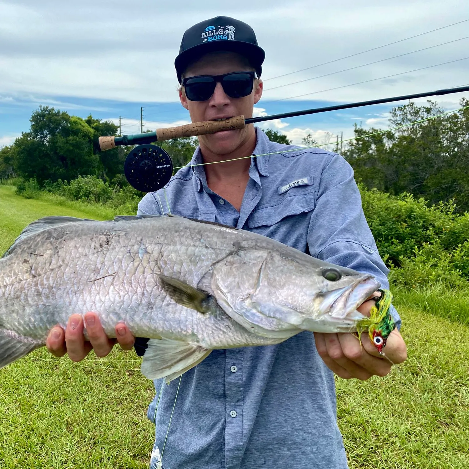 The most popular recent Barramundi catch on Fishbrain