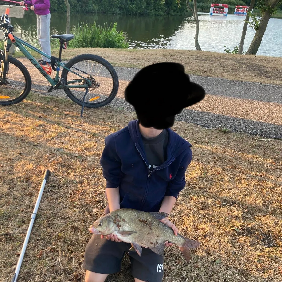 Common bream caught on Fishbrain
