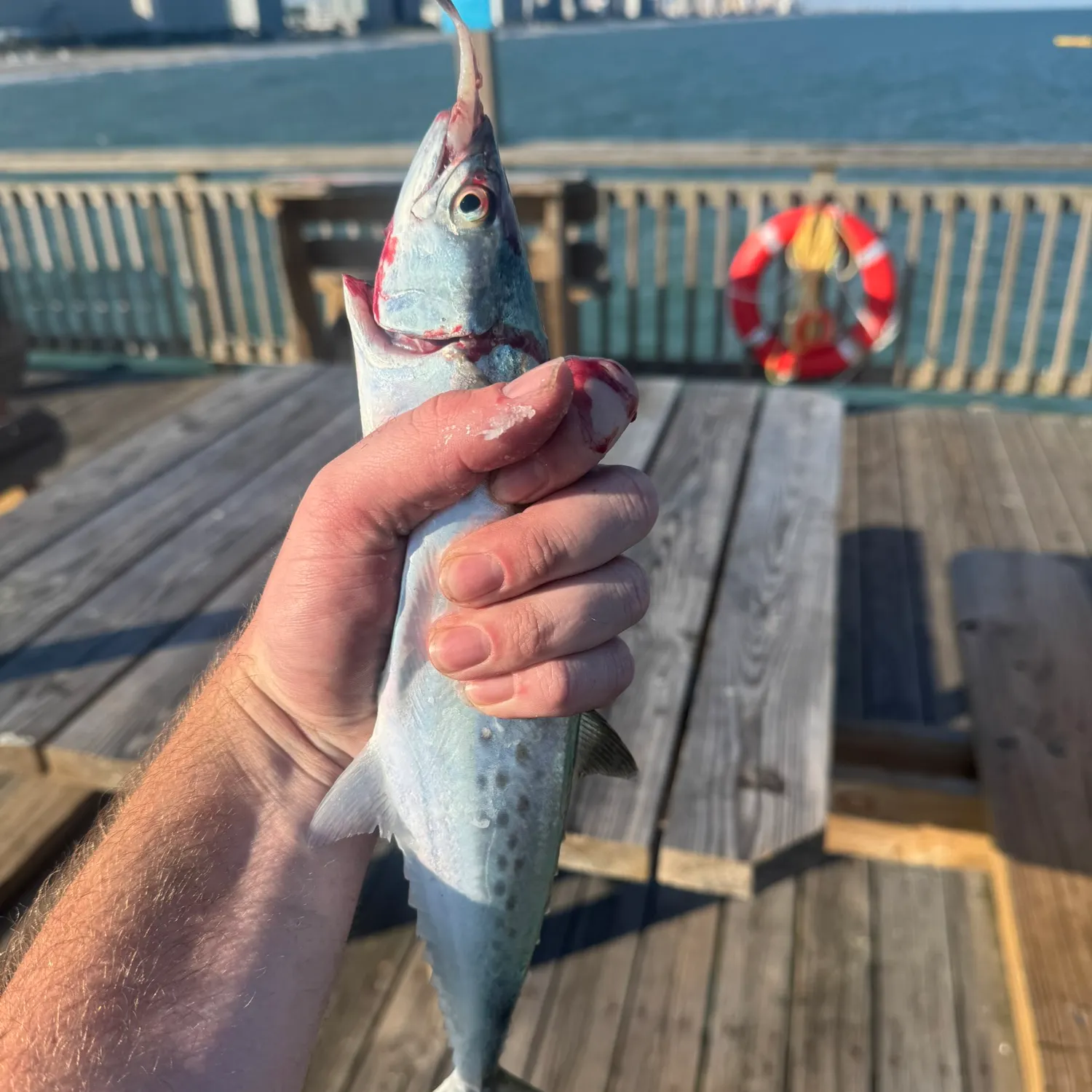 most liked catch image