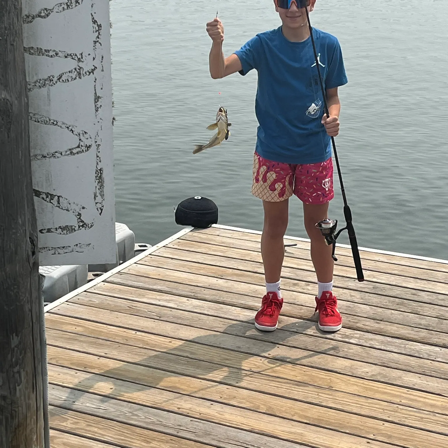 The most recent Black sea bass catches on Fishbrain
