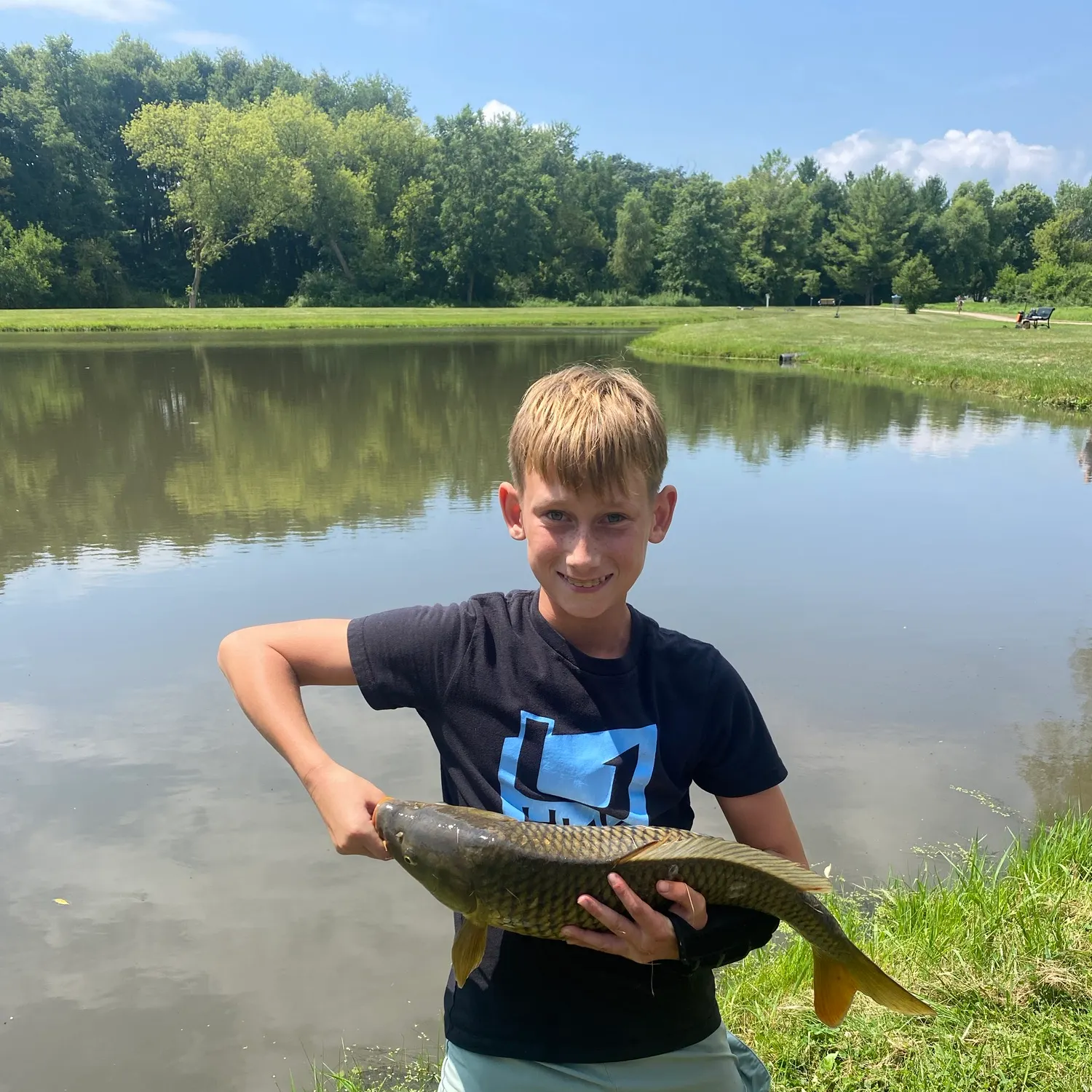 Common carp caught on Fishbrain