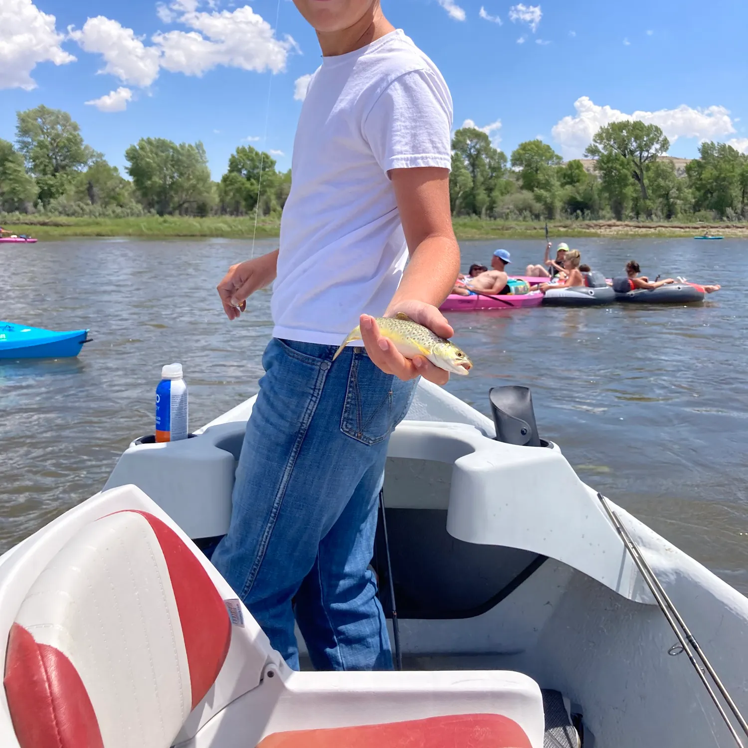 The most recent Brown trout catches on Fishbrain
