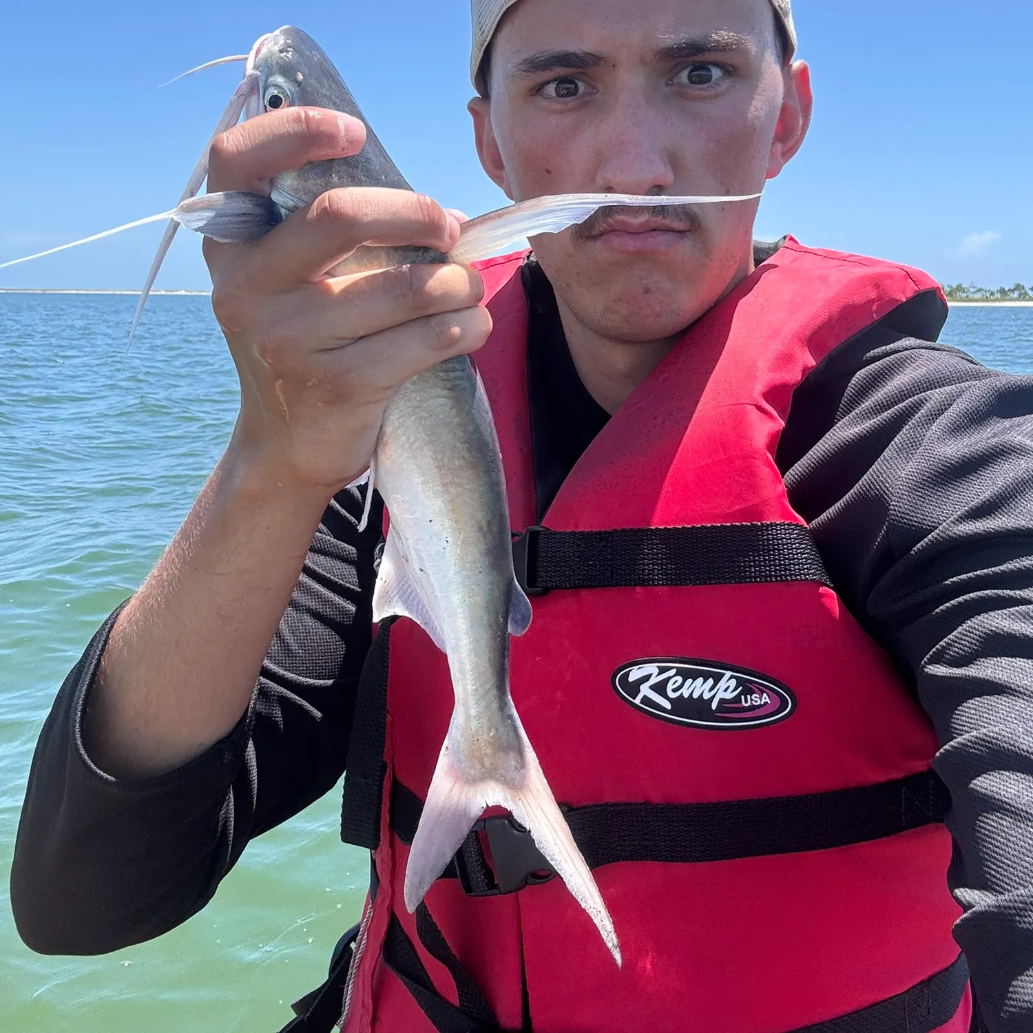 The most recent Gafftopsail sea catfish catches on Fishbrain