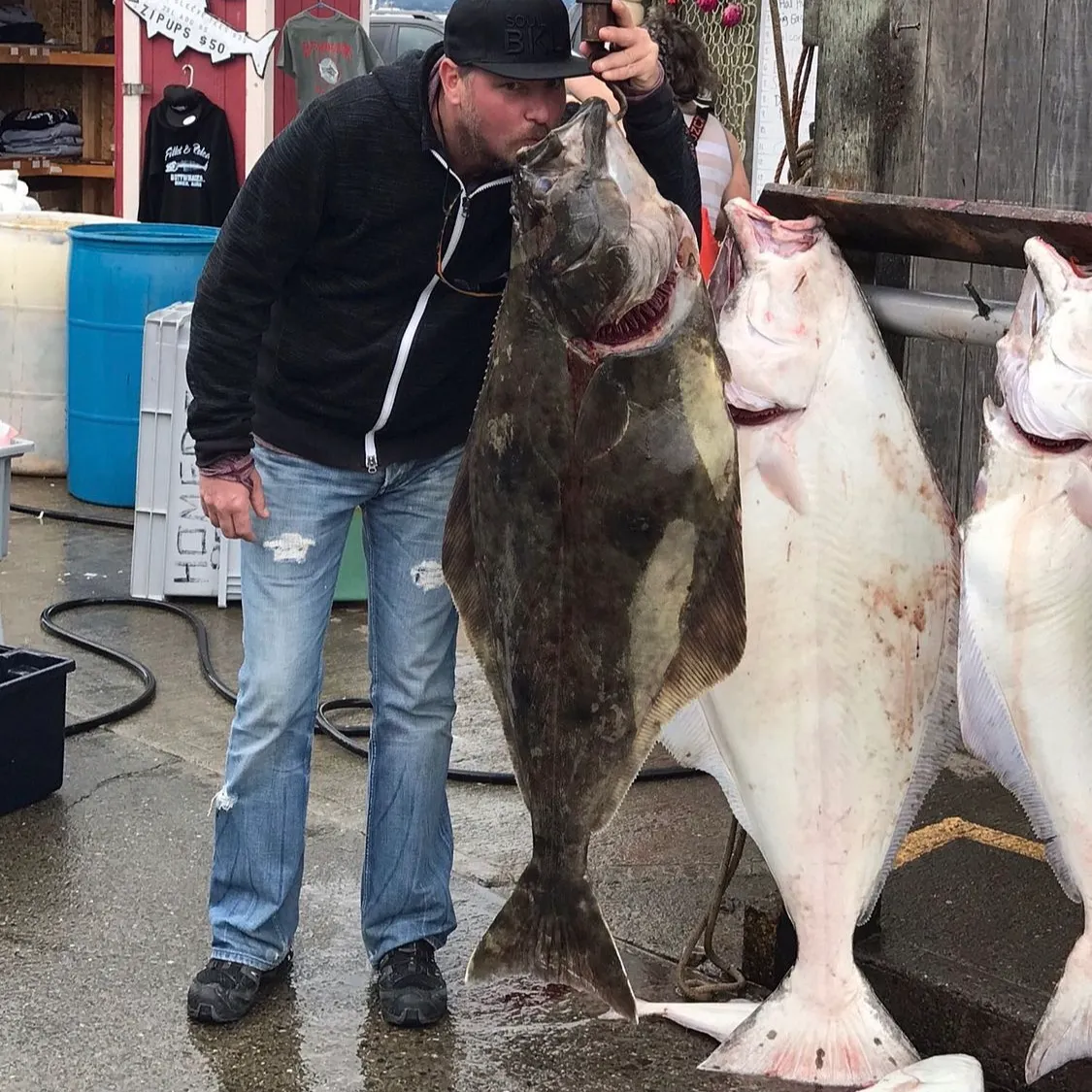 The most recent Pacific halibut catches on Fishbrain
