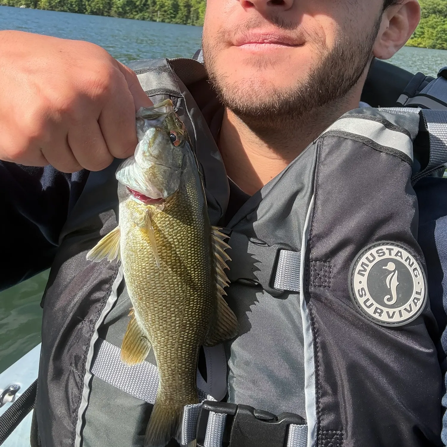 Smallmouth bass caught on Fishbrain