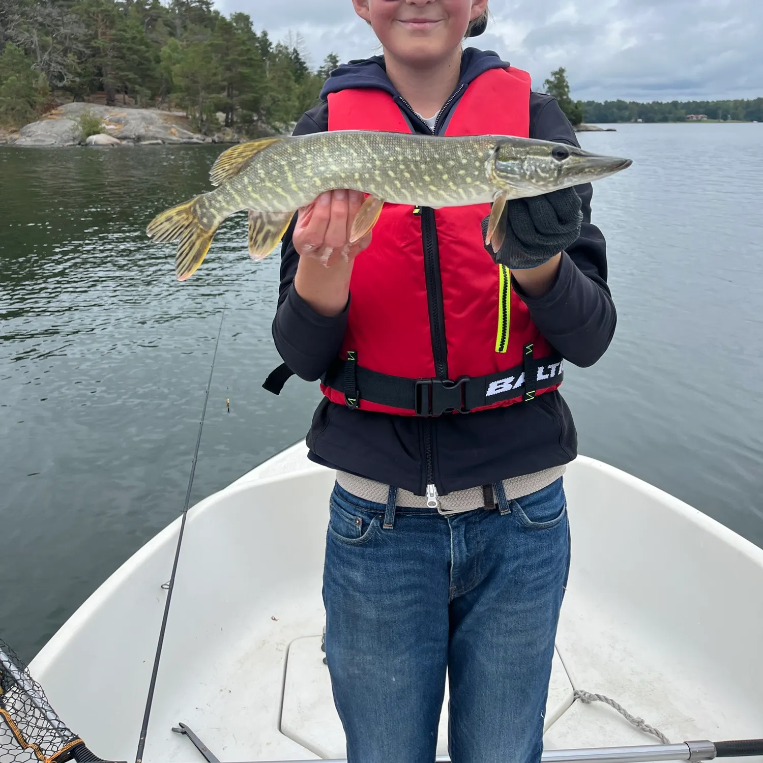 Northern pike caught on Fishbrain