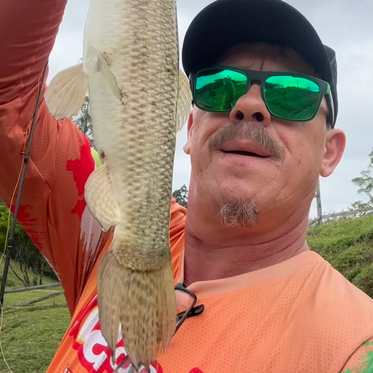 The most recent Trahira catches on Fishbrain