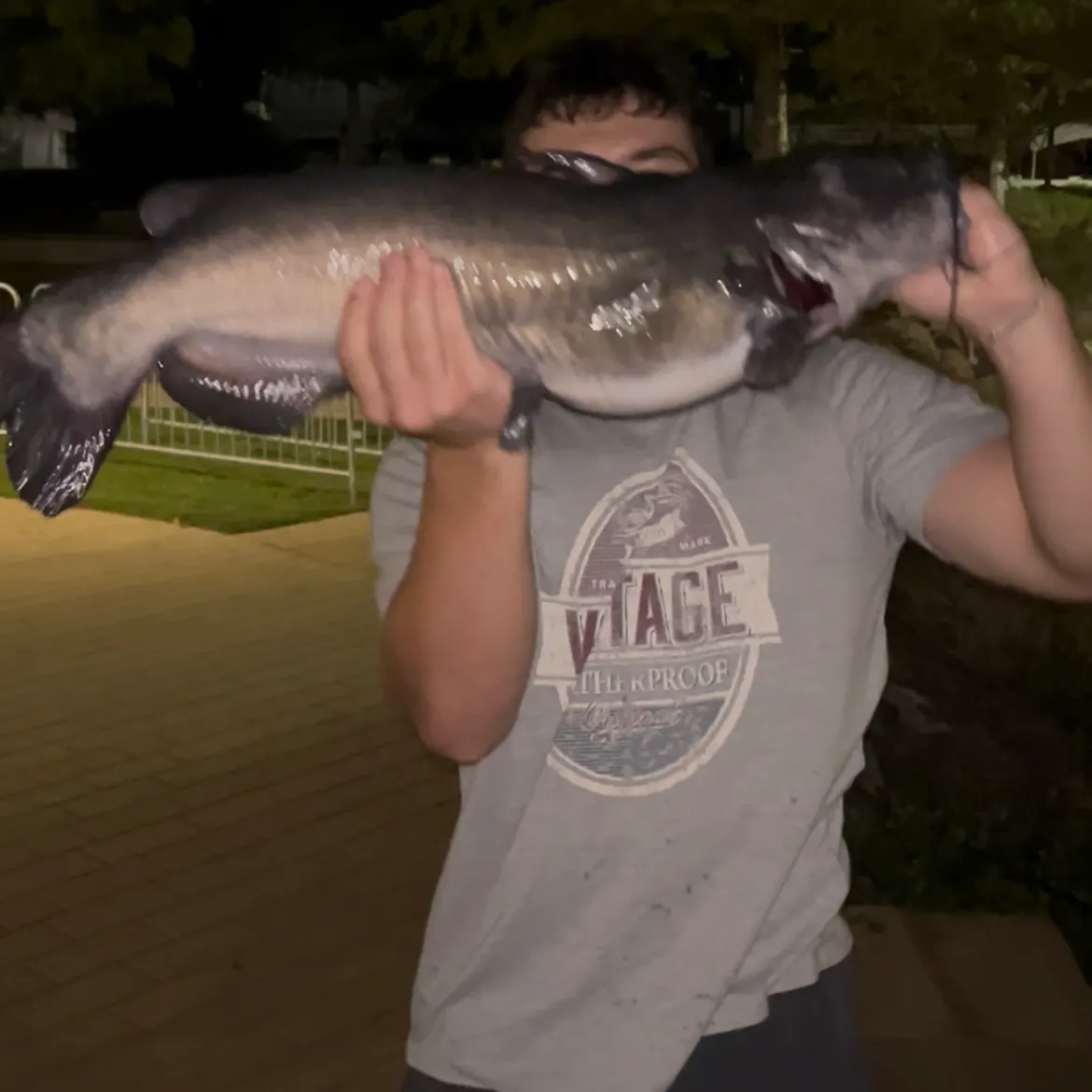 Channel catfish caught on Fishbrain