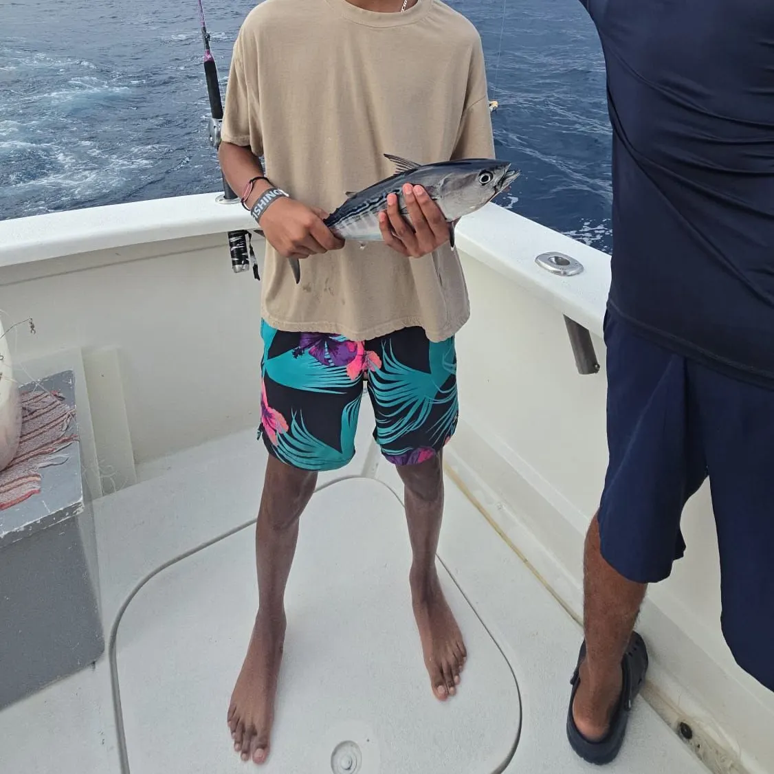 The most recent Skipjack tuna catches on Fishbrain