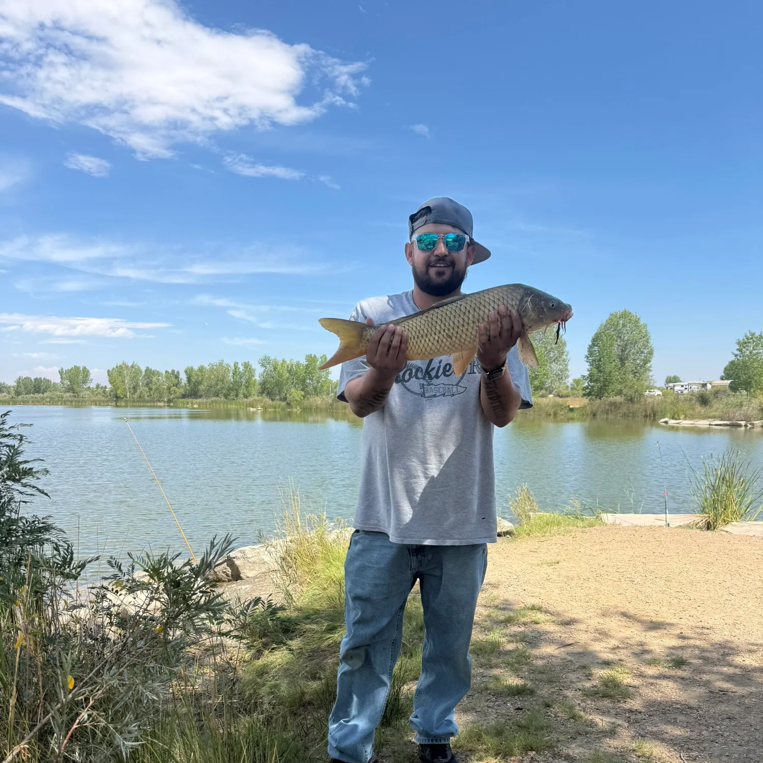 Common carp caught on Fishbrain