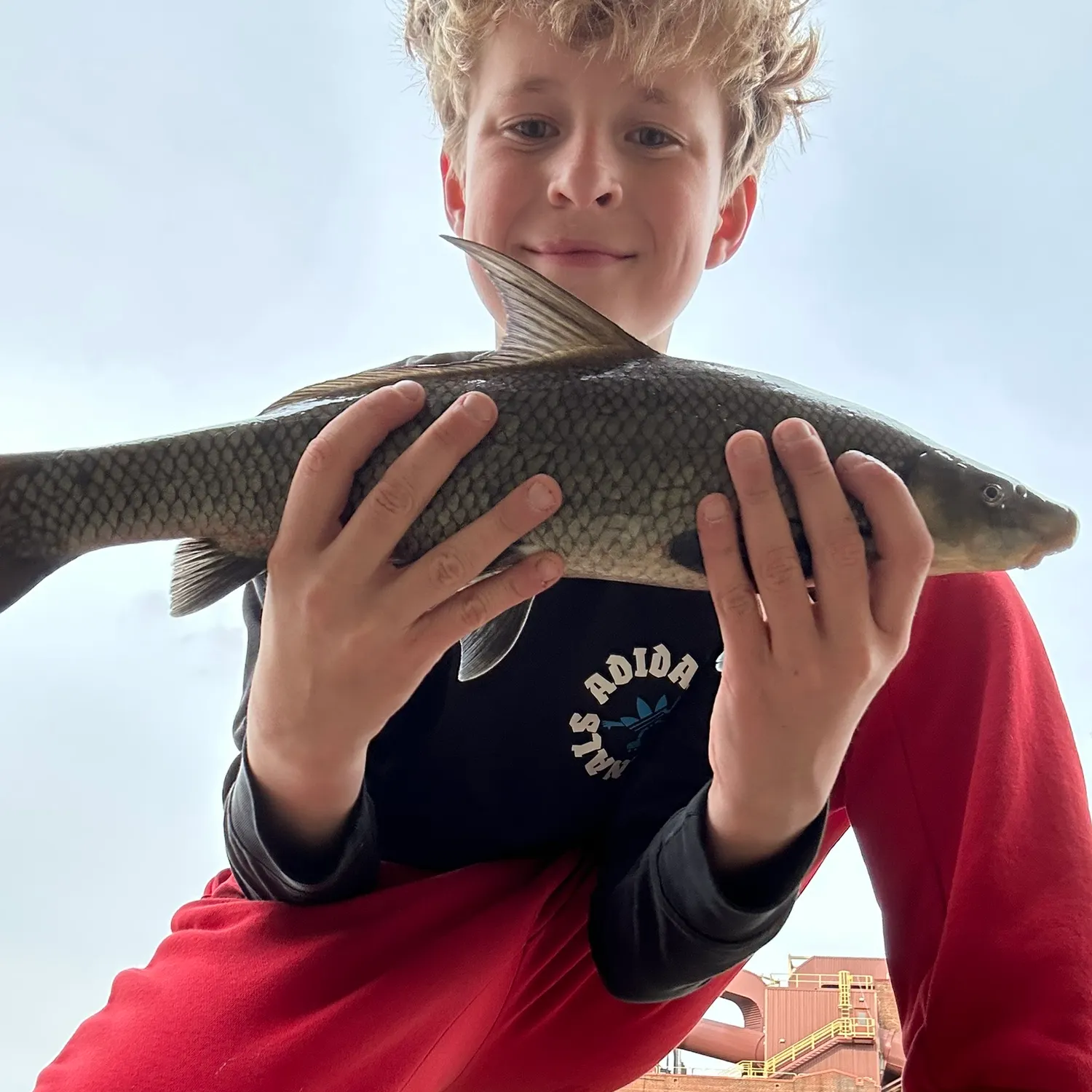 The most recent Blue sucker catches on Fishbrain