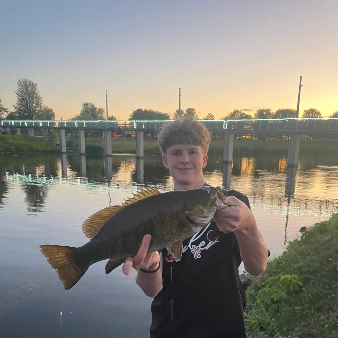 Smallmouth bass caught on Fishbrain
