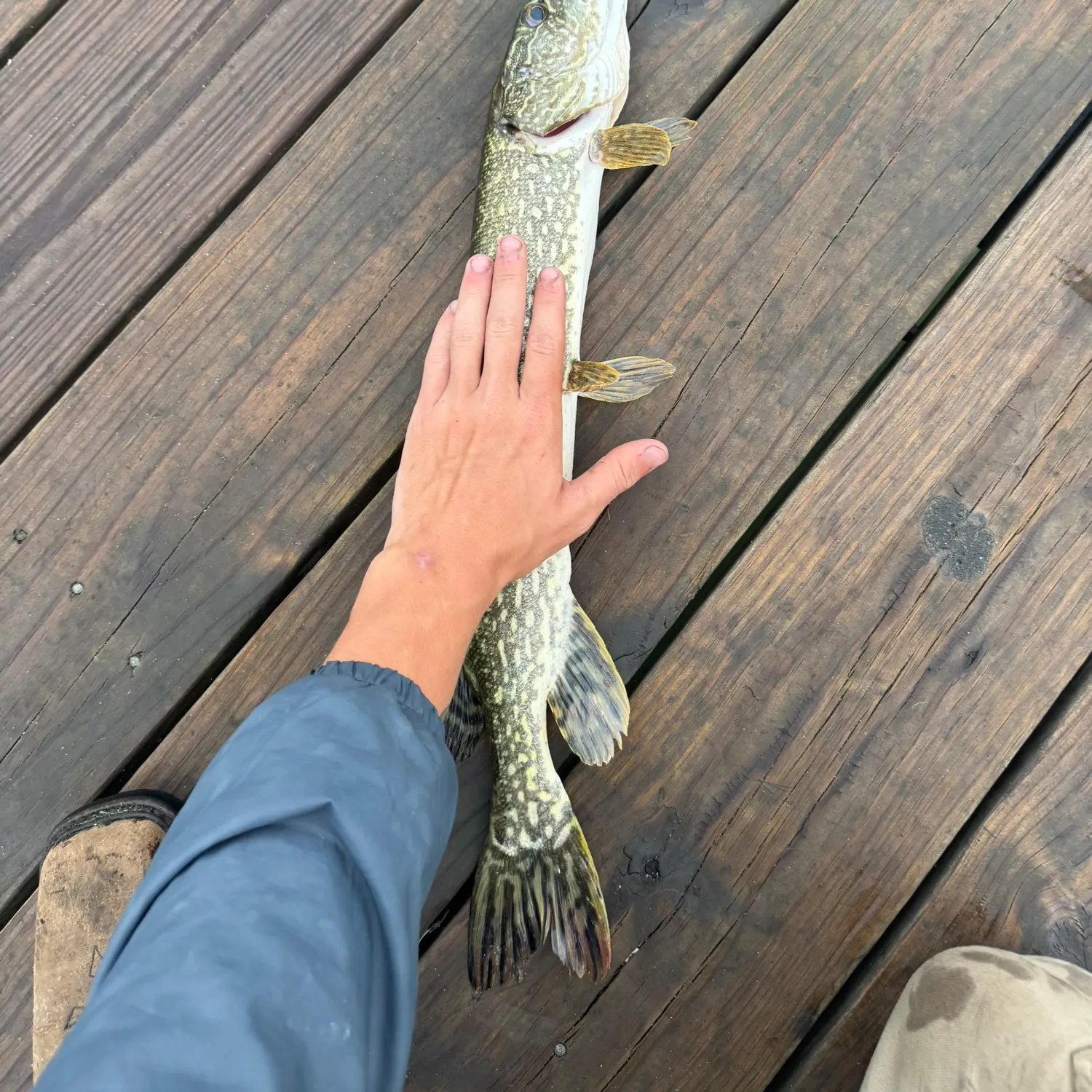 catch