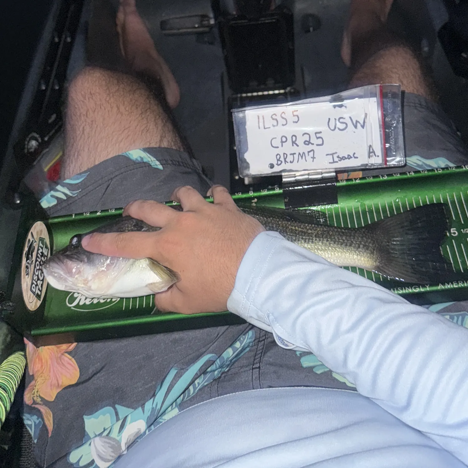 recently logged catches